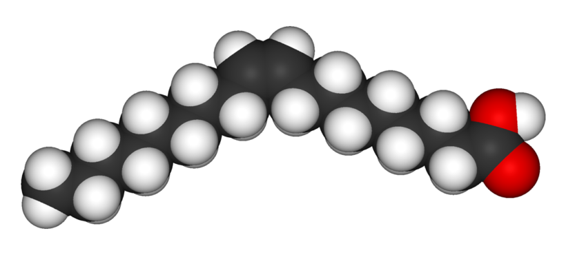Acido oleico, un acido dai molteplici effetti salutari